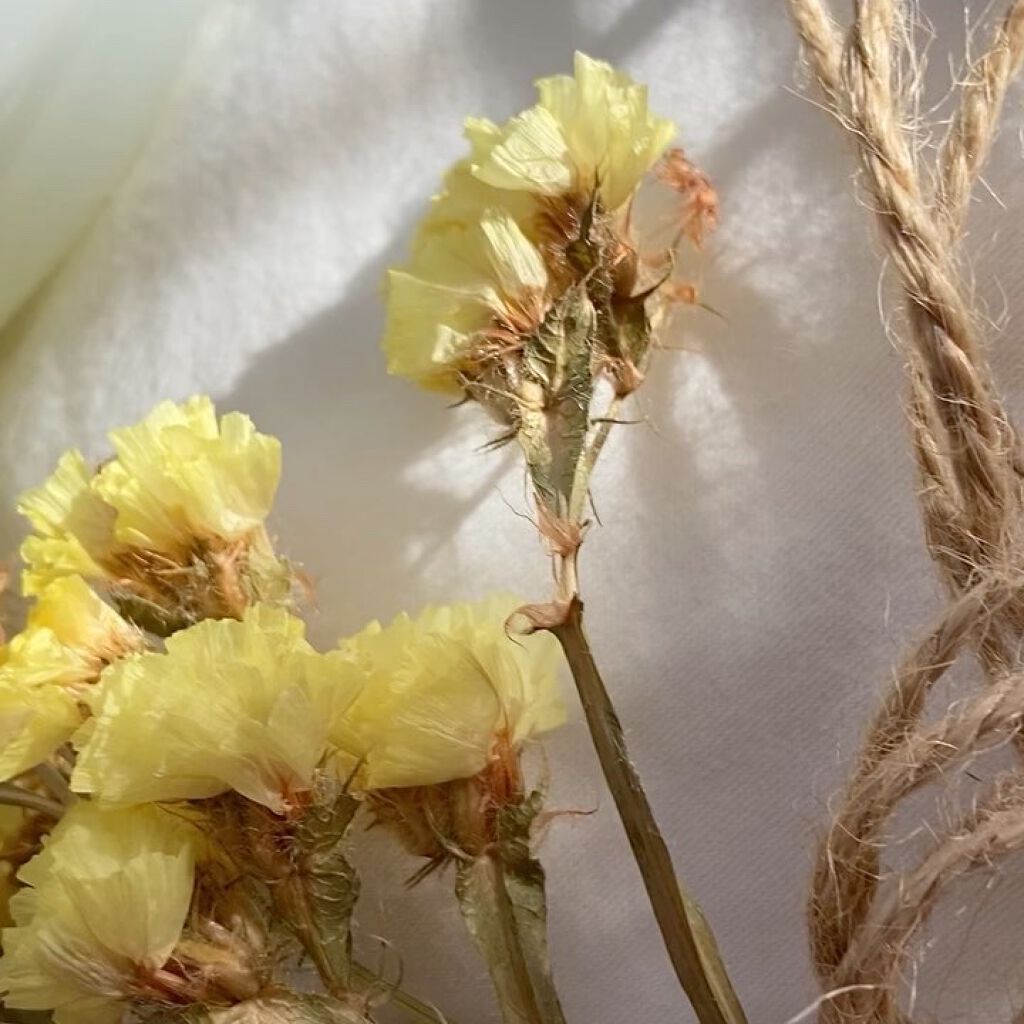 エムエーヘアオイル/MA/ヘアオイルを使ったクチコミ（2枚目）