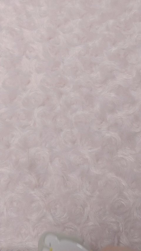 ラスティンググロスリップ/CEZANNE/口紅を使ったクチコミ（1枚目）