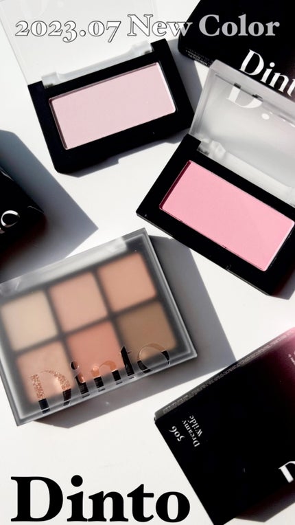ブラーフィニシュシャドウパレット/Dinto/アイシャドウパレットの人気ショート動画