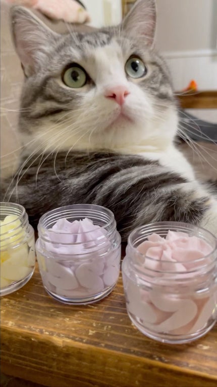 ヴィーガンパッククレンザー/WHIPPED/洗顔フォームの人気ショート動画