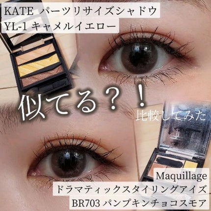 パーツリサイズシャドウ/KATE/アイシャドウパレットの人気ショート動画