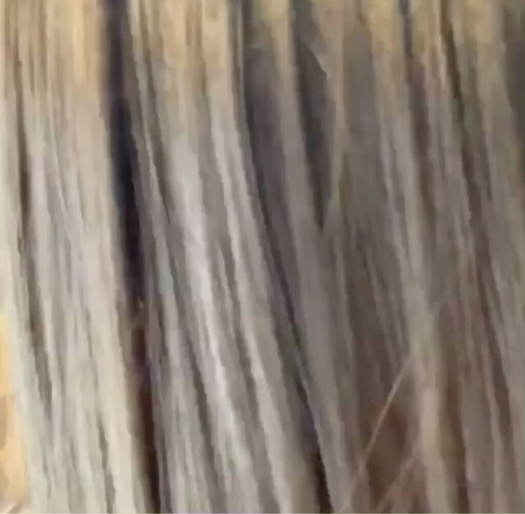  DP フルイド オレオ リラックス/ケラスターゼ/ヘアオイルを使ったクチコミ（2枚目）