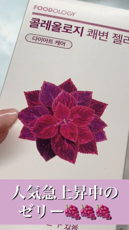 コレオロジー快調ゼリー/FOODOLOGY/健康サプリメントの人気ショート動画