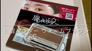 &. パレット眉パウダー/DAISO/パウダーアイブロウを使ったクチコミ（1枚目）