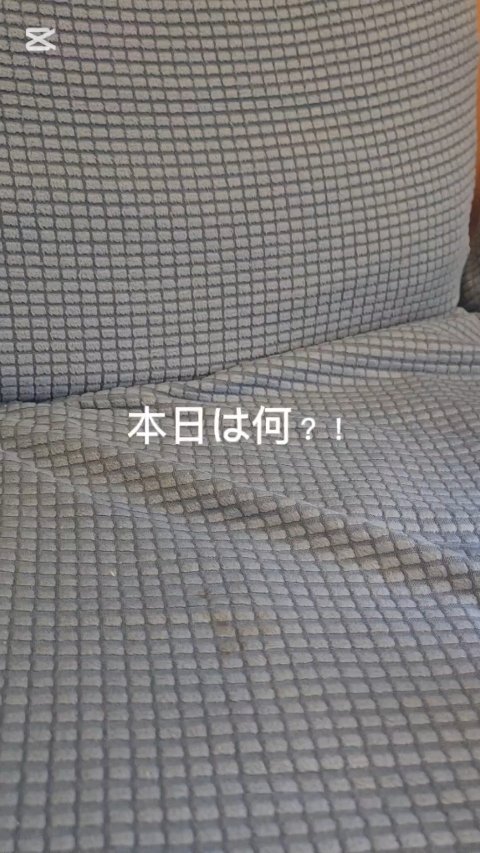 ラッシュファイター　カールアッパーマスカラ　Lv50/ラッシュファイター/マスカラの人気ショート動画