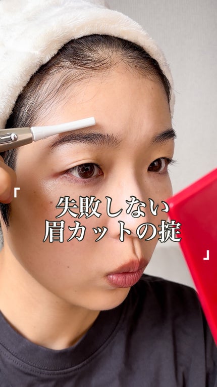 フェリエ フェイス用 ES-WF51/Panasonic/シェーバーの人気ショート動画