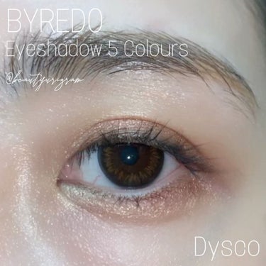 Eyeshadow 5 Colour Compacts/BYREDO/パウダーアイシャドウを使ったクチコミ（5枚目）