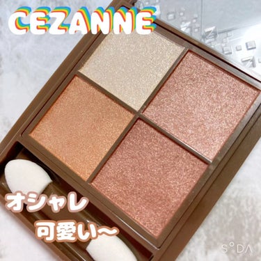 ニュアンスオンアイシャドウ/CEZANNE/アイシャドウパレットを使ったクチコミ（1枚目）