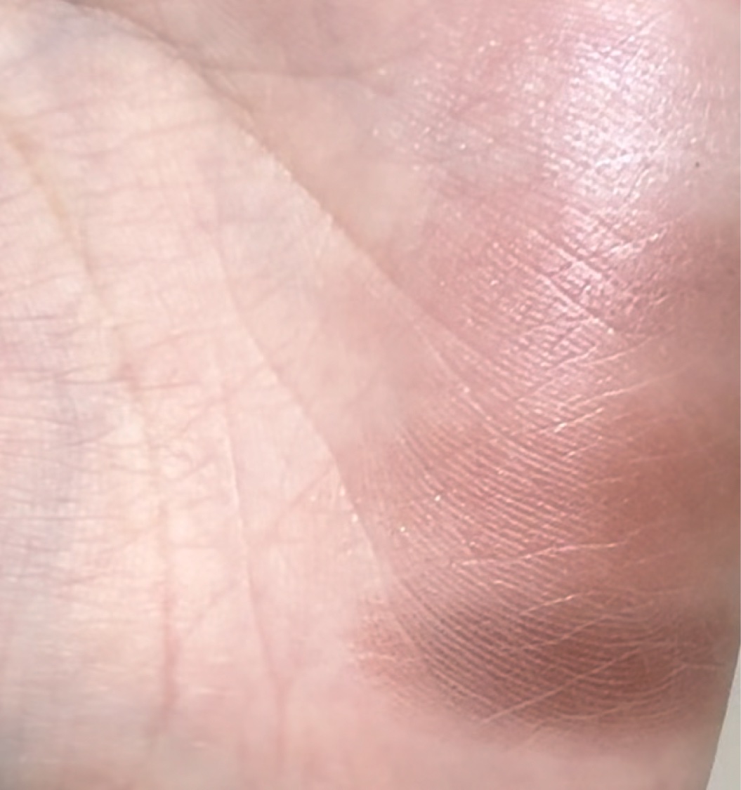 スキニーリッチシャドウ/excel/アイシャドウパレットを使ったクチコミ（3枚目）