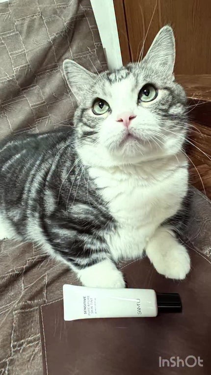 センシティブピュア&ピュアスキンティント/SAM'U/化粧下地の人気ショート動画