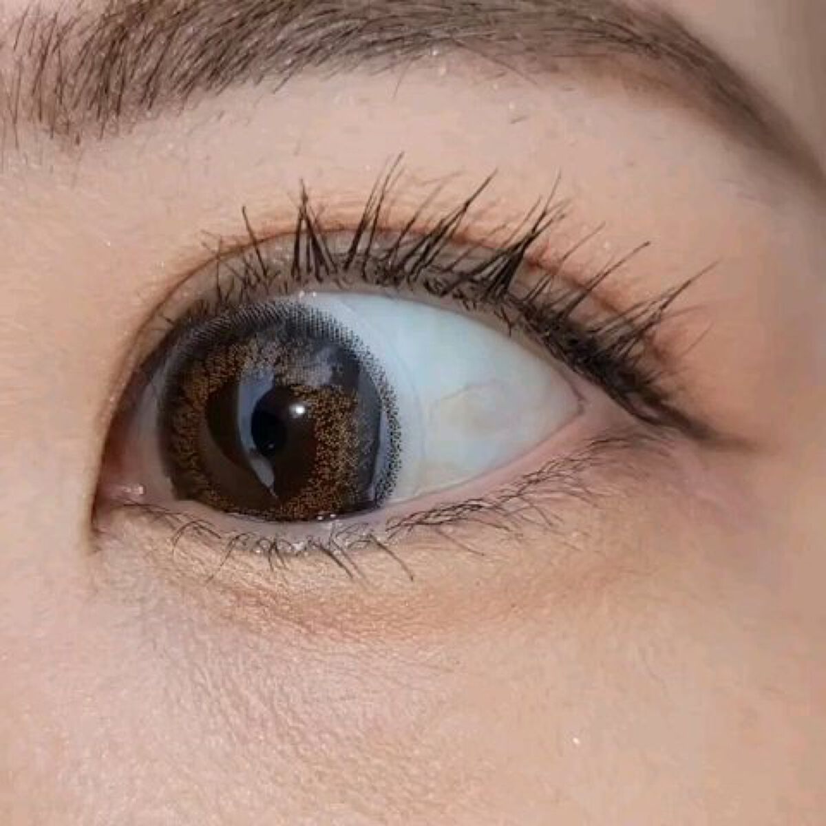 WAVEワンデー UV リング プラス フラワーコレクション/WAVE/ワンデー（１DAY）カラコンの動画クチコミ1つ目