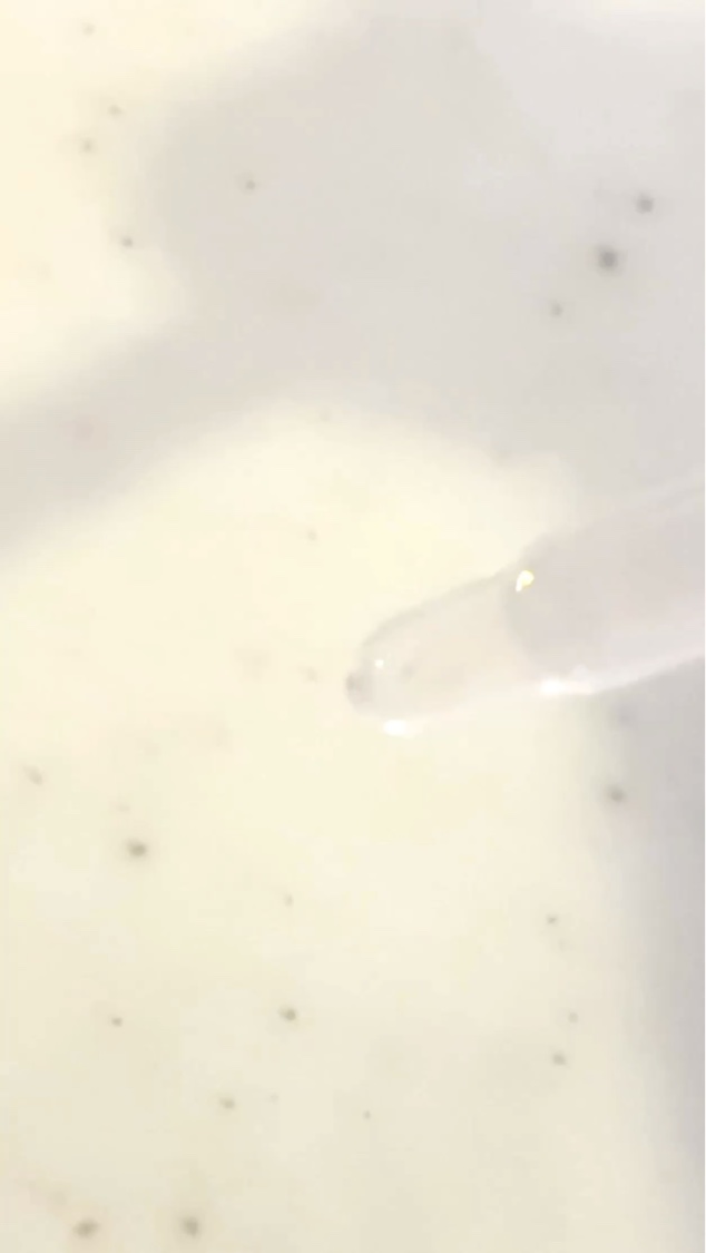 ビギンスバイジョンセンムルピンクGBセラム/BeginS by JUNGSAEMMOOL/美容液を使ったクチコミ（3枚目）