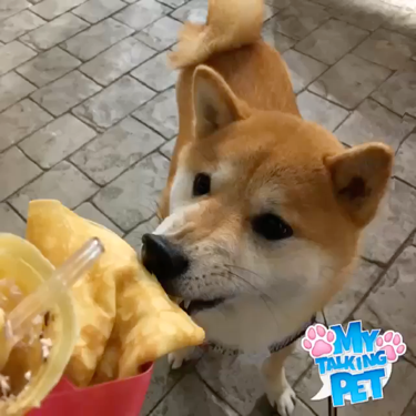 すりおろし苺ミックススムージー/スジャータ/スムージーを使ったクチコミ（2枚目）