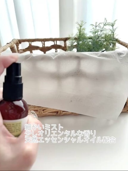 Begone Bug(ベゴンバグ)/UTAMA SPICE/その他を使ったクチコミ(2枚目)