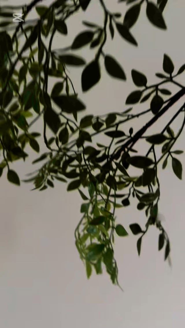 スパルタンミー ニードルセラム/SPARTA&ME/美容液を使ったクチコミ（1枚目）