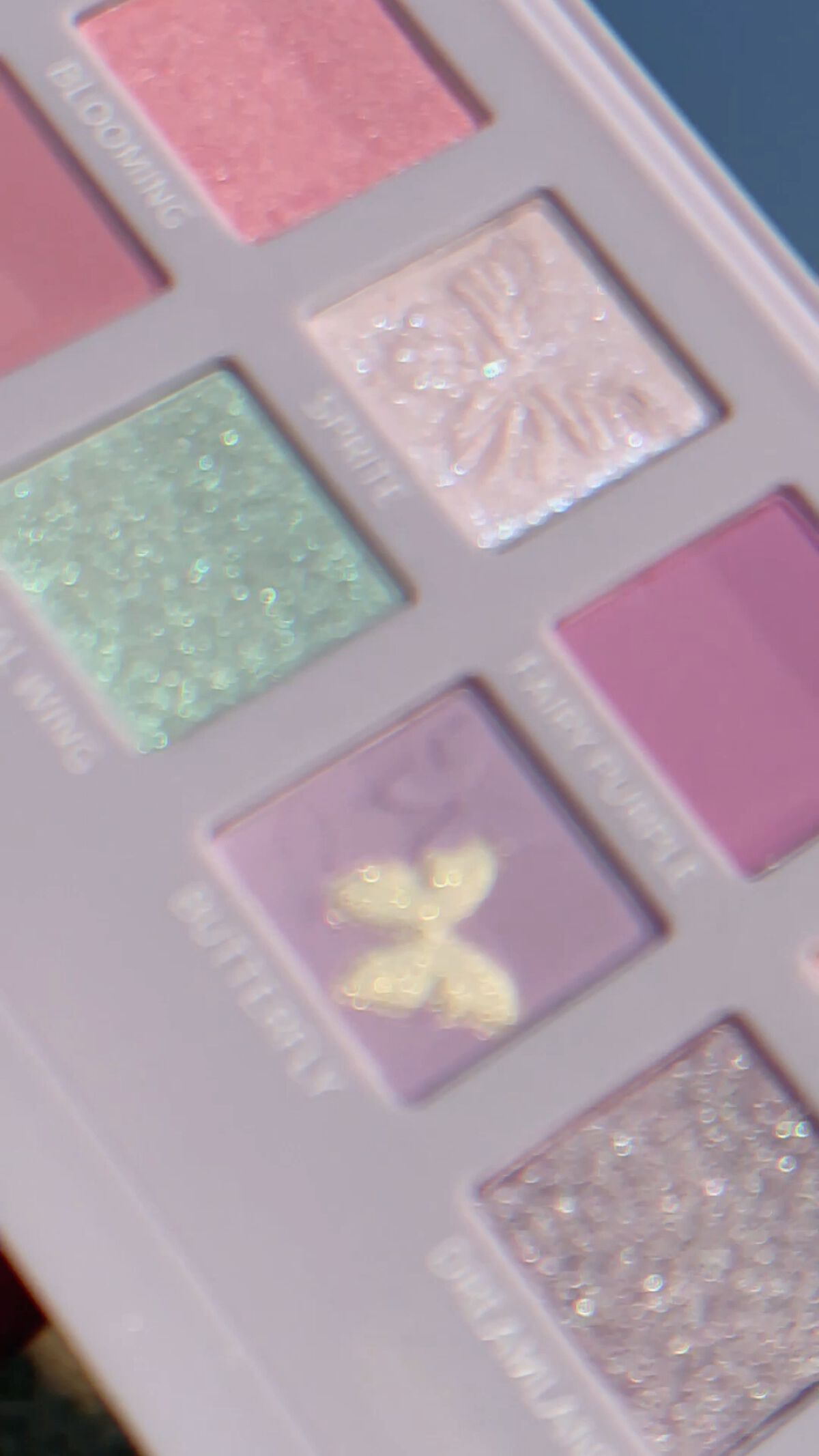 エクスプローラ12色 動物アイシャドウパレット/PERFECT DIARY/アイシャドウパレットを使ったクチコミ（1枚目）