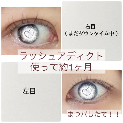 ラッシュアディクト アイラッシュコンディショニングセラム/soaddicted/まつげ美容液の人気ショート動画