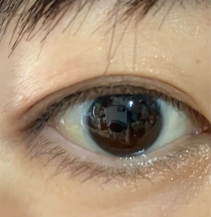 コスモ ユニバース アイシャドウ パレット/BOBBI BROWN/アイシャドウパレットを使ったクチコミ（1枚目）