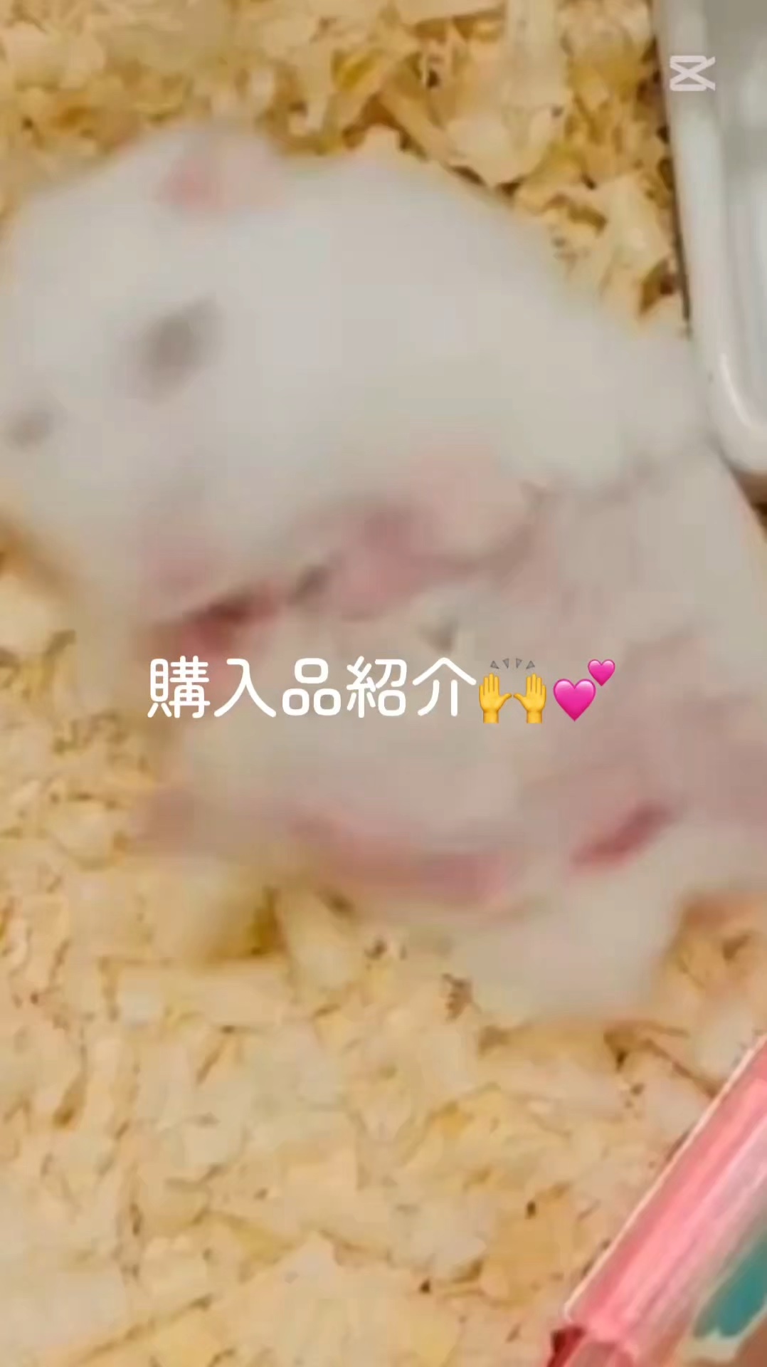 ディオール アディクト リップ グロウ 212 チュチュ/Dior/リップバームを使ったクチコミ（1枚目）