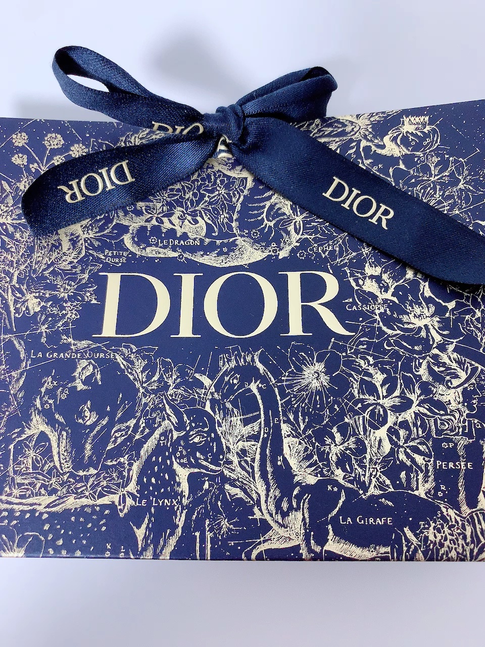 ディオール アディクト リップ グロウ/Dior/リップバームの動画クチコミ4つ目