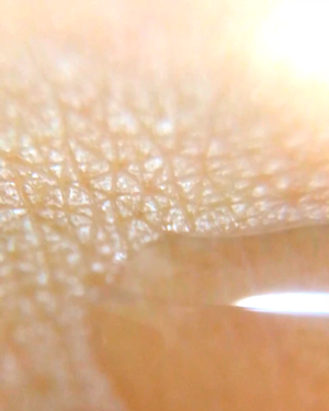 マクロレンズ/セリア/その他を使ったクチコミ（3枚目）