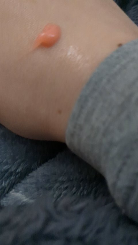 ハニーフルリップ もも色ボリューム/カントリー&ストリーム/リップ美容液の人気ショート動画