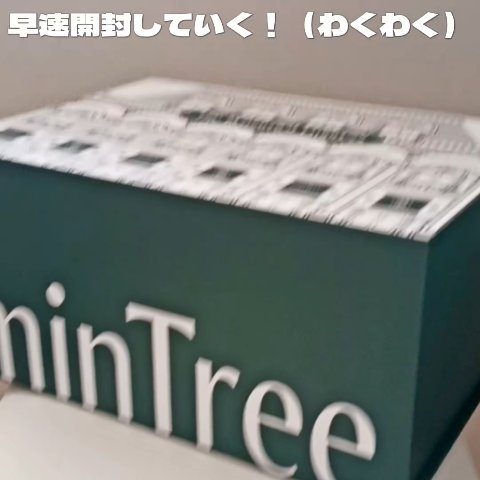ミンツリー「再婚承認を要求します」スペシャルパッケージボックス （シーディングBOX）/ミンツリー/その他キットセットの動画クチコミ2つ目
