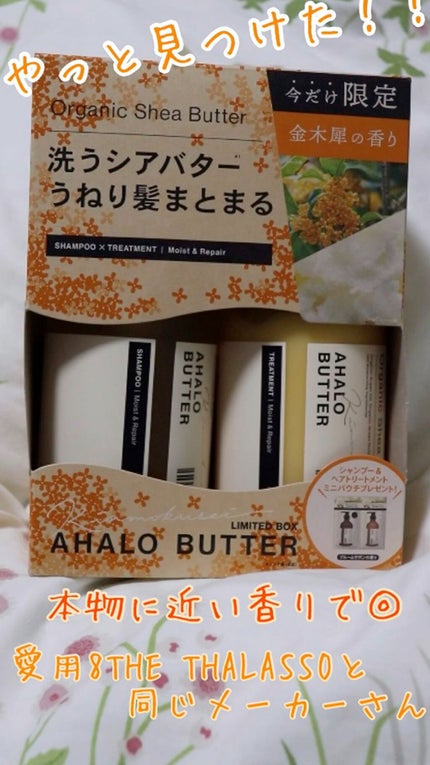 モイスト&リペア シャンプー&ヘアトリートメント 限定セット キンモクセイの香り/AHALO BUTTER/シャンプー・コンディショナーの人気ショート動画
