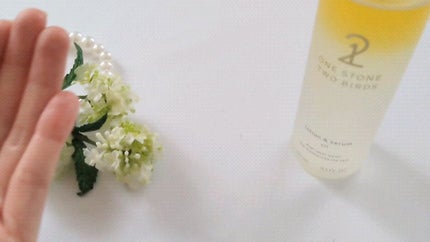 オイルインローション/ONE STONE TWO BIRDS/化粧水の人気ショート動画