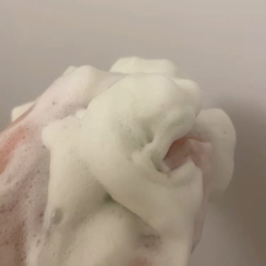 ワフードメイド　宇治抹茶酵素洗顔/pdc/洗顔パウダーを使ったクチコミ（6枚目）