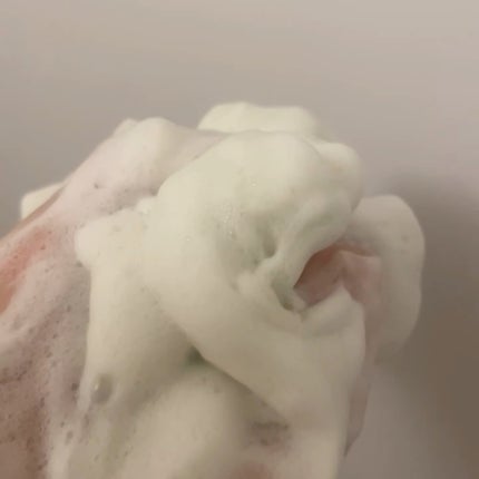 ワフードメイド 宇治抹茶酵素洗顔/pdc/洗顔パウダーを使ったクチコミ(6枚目)