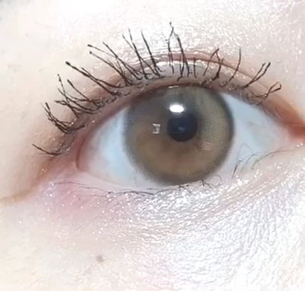 ピュアリティーシャインワンデー(PURITYSHINE 1day)/OLOLA/ワンデー(1DAY)カラコンを使ったクチコミ(5枚目)