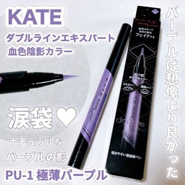 ダブルラインエキスパート(血色陰影カラー)/KATE/リキッドアイライナーを使ったクチコミ（1枚目）