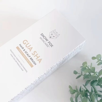試してみた】プレミアム FOXカッサ ウッド ヘアブラシ SNOW FOX 試してみた】プレミアム FOXカッサ ウッド ヘアブラシ SNOW FOX