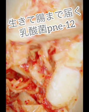 ご飯がススム/ピックルス/食品を使ったクチコミ（2枚目）