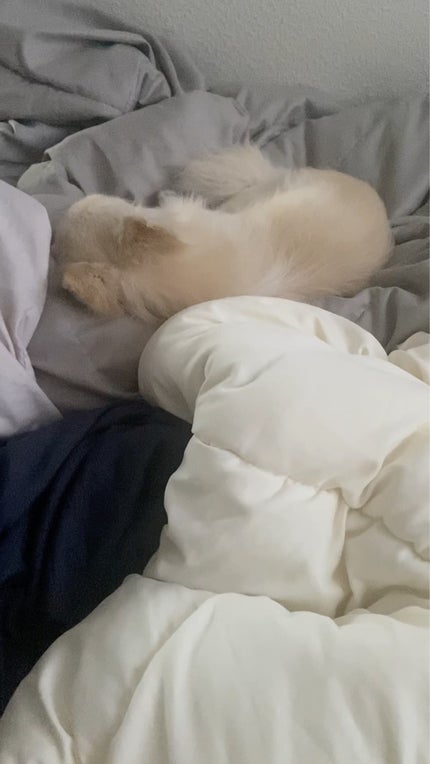 ディオールスキン フォーエヴァー スキン コレクト コンシーラー/Dior/リキッドコンシーラーを使ったクチコミ(7枚目)