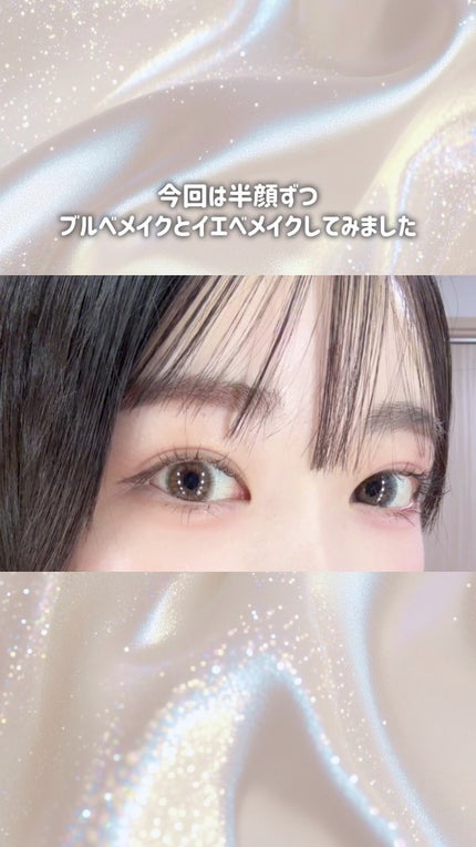 シャドウパレット/dasique/アイシャドウパレットの人気ショート動画