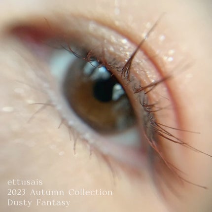 エテュセ ラスティング ジェルライナー/ettusais/ジェルアイライナーの人気ショート動画