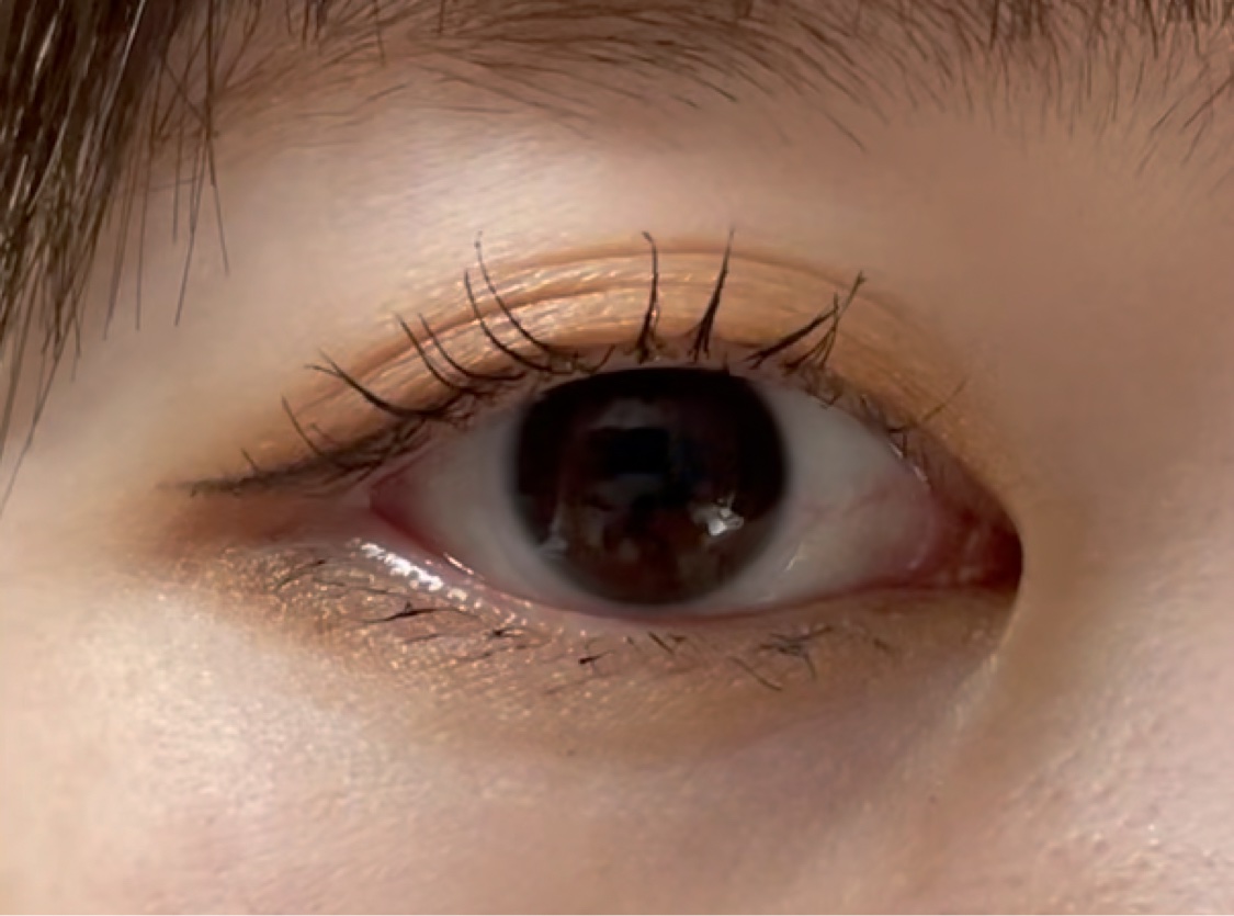 パーフェクトマルチアイズ/キャンメイク/アイシャドウパレットを使ったクチコミ（1枚目）