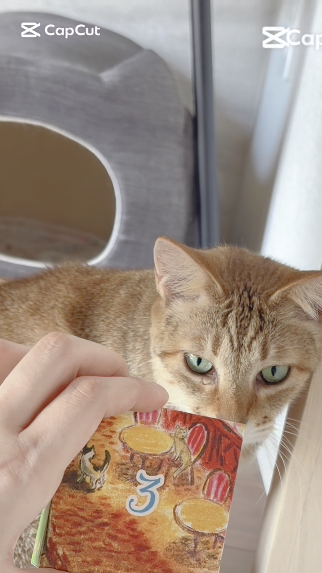 ポール&ジョーアドベントカレンダー2025/PAUL & JOE BEAUTE/メイクアップキットの人気ショート動画