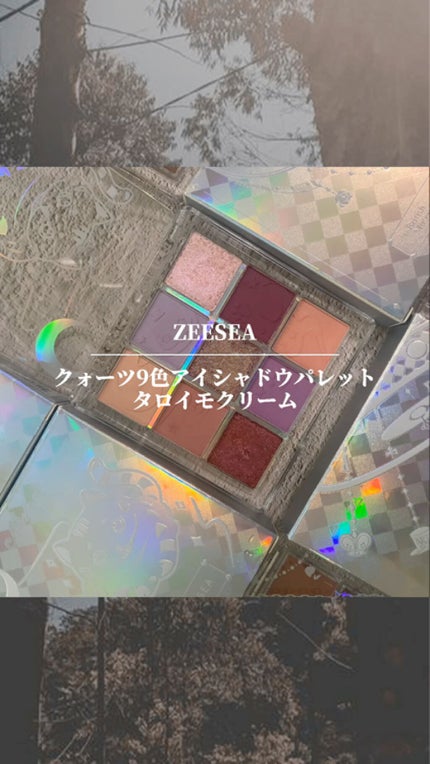 クォーツ 9色アイシャドウパレット(ドリームランドアイシャドウ)/ZEESEA/アイシャドウパレットの人気ショート動画