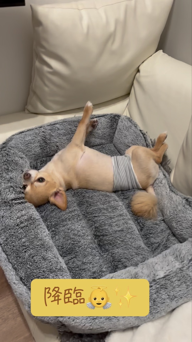 バーバリー アイ クアッド/Burberry Beauty/アイシャドウパレットの動画クチコミ4つ目