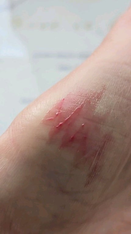 はちみつツヤ肌クッションファンデ/VELY VELY/クッションファンデーションを使ったクチコミ(2枚目)