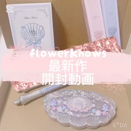 シェルズジュエルコレクション 6色アイシャドウパレット/FlowerKnows/アイシャドウパレットの人気ショート動画