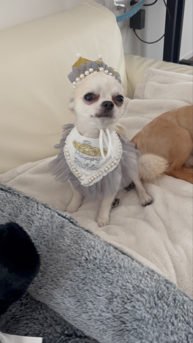 クロミムードペブルネイル/rom&nd/マニキュアの動画クチコミ4つ目