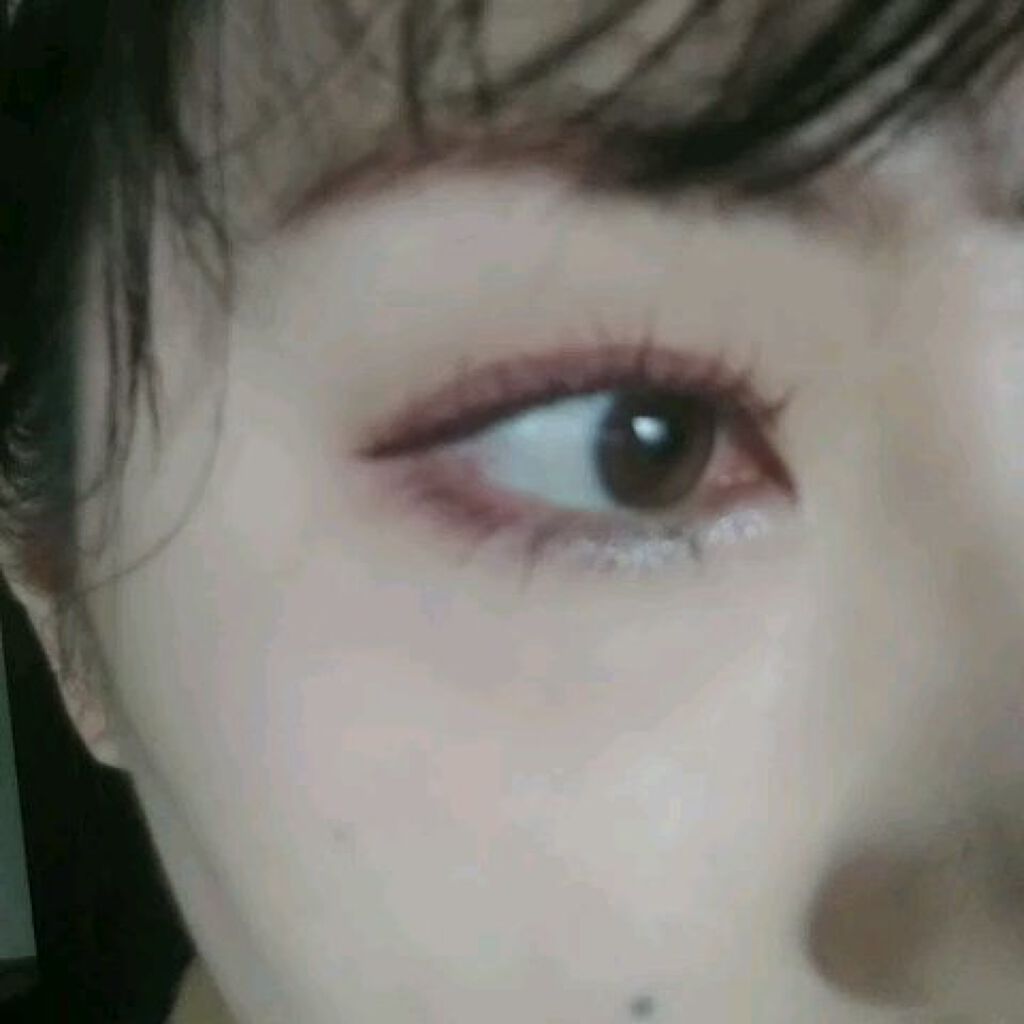 エクスプローラ12色 動物アイシャドウパレット/PERFECT DIARY/アイシャドウパレットを使ったクチコミ（3枚目）