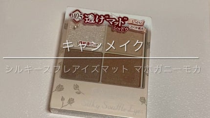 シルキースフレアイズ(マットタイプ)/キャンメイク/アイシャドウパレットの人気ショート動画