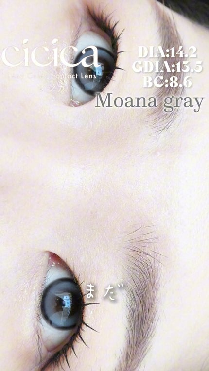 cicica 1day/cicica/ワンデー(1DAY)カラコンの人気ショート動画