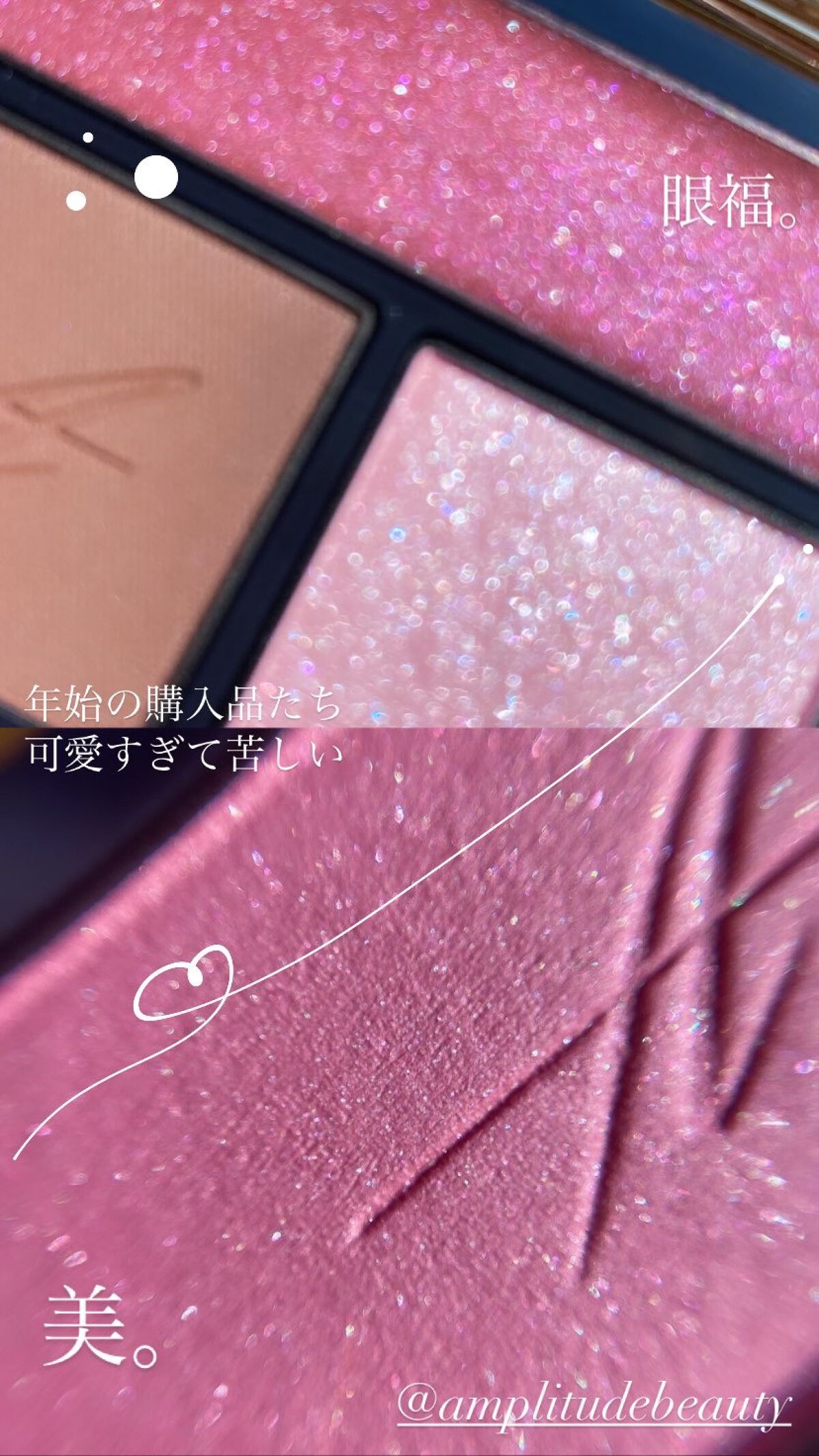 人気を誇る アンプリチュード コンスピキュアス モノチークス 02