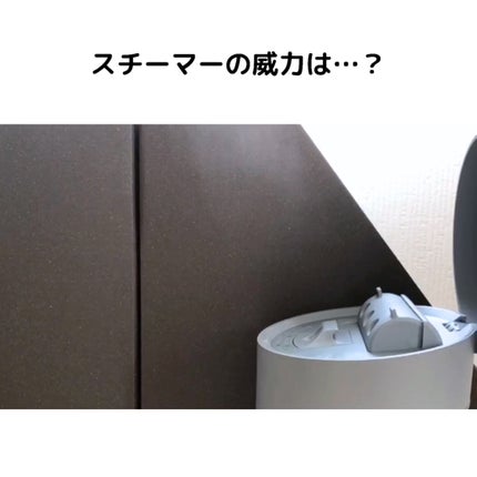 ピュアブライトスチーマー/SALONIA/美顔器・マッサージの動画クチコミ1つ目